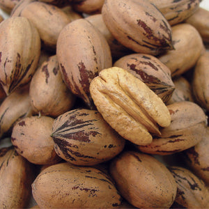Large In-Shell Whole Pecans